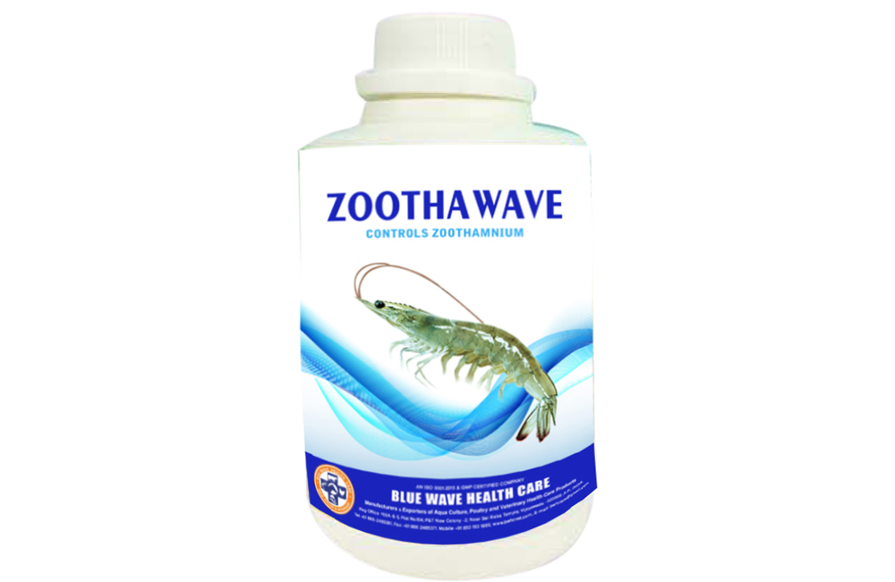 ZOOTHAWAVE (Controls Zoothamnium)